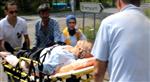 MUSTAFA BAŞ - Fındık Bahçesinde Kalp Krizi Geçiren 2 Kişi Öldü