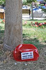 SİGARA İZMARİTİ - Sokak Hayvanları İçin Konulan Su Kapları Kullanılmaz Hale Getirildi