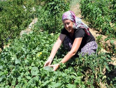 İngiliz Hemşire Aşkı İçin Antalya’da Çiftçi Oldu