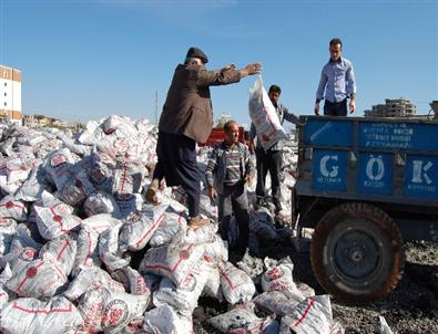Kömür Dağıtımları Başladı