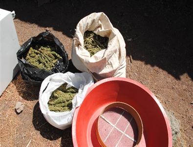 Bingöl’de Uyuşturucu Operasyonu