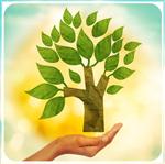 SANAT ESERİ - E-imza, 10 Yılda 2016 Ağacı Kurtardı