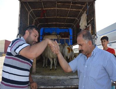 Kocasinan Belediyesinden Adak Kurban Pazarı