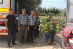 AŞKABAT - Ödemiş’in Gülleri Türkmenistan İ Süsleyecek