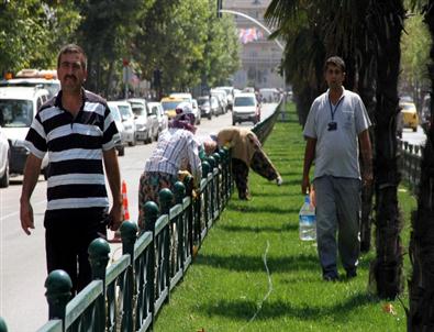 Başbakanın Ziyareti Öncesi Bursa'da Hazırlıklar Sürüyor
