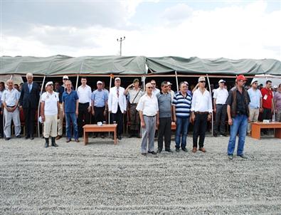 Tosya 16.kültür ve Pirinç Festivalinde Rahvan Atları At Yarışı Yapıldı