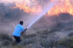 ORTAKENT - Bodrum’da Orman Yangını