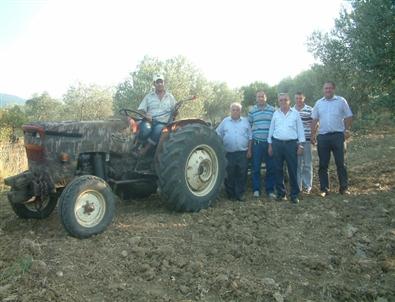 Burhaniye’de Zeytin Sineği İlaçlaması Başladı