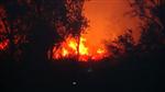 Yangın Yerleşim Yerlerini Tehdit Ediyor; 10 Ev Tahliye Edildi