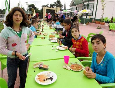 Çamiçi’nde Neşeli Günler