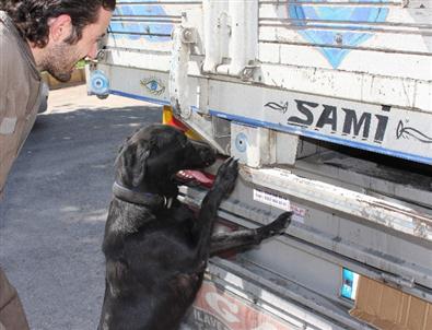 Gaziantep’te 51 Bin 970 Paket Kaçak Sigara Ele Geçirildi