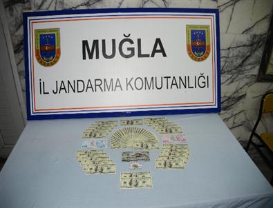 Yatağan'da Sahte Para Operasyonu