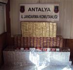 Gazipaşa'da 22 Bin 560 Paket Kaçak Sigara Ele Geçirildi