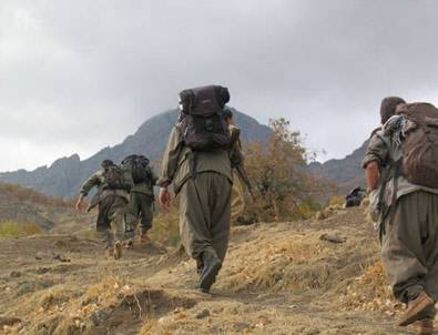 PKK'lılar köylülerin aracını yaktı