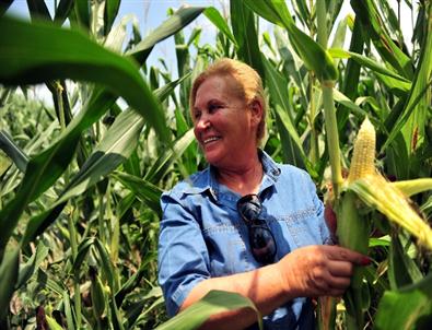 Özkan: 'mısır Üreticisi Randevu Sistemini Benimsemeli'