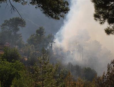 Çine’de Orman Yangını