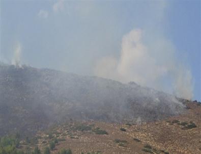 Hatay'da Orman Yangını