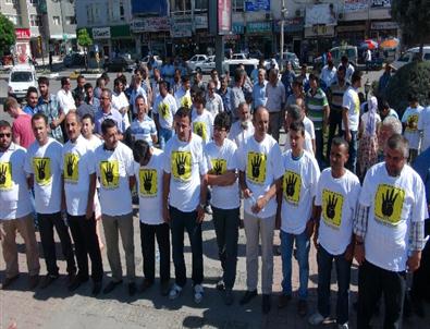 Öğretmenler ve Öğrencileri Mısır Olaylarını Kınadı