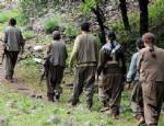 İSTİHBARAT BİRİMLERİ - PKK’dan günde 100, haftada bin eylem