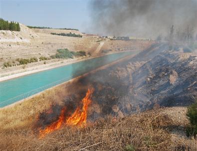 Şanlıurfa’da Yangın