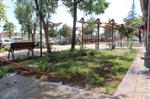 TEDAŞ - Sarıçam Belediyesi Parkları Güzelleştiriyor