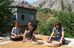 (özel Haber) Avusturyalı Turistler, Köy Hayatını Yaşayarak Öğreniyor