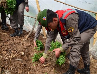 Adana'da Kaçakçılıkla ve Uyuşturucuyla Mücadele