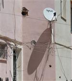 PYD - Ceylanpınar Öğretmen Evine Yine Uçaksavar Mermisi İsabet Etti