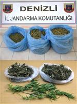 Denizli'de Uyuşturucu Operasyonuna 1 Tutuklama