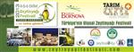 Forum Bornova'da Zeytinyağı Festivali