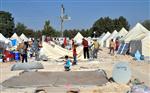 Mültecilerin Çadırları Yenileniyor