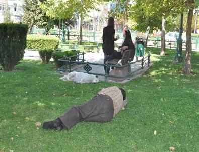 Sıcaklar Bunalttı, Gölge Bulan Uyudu