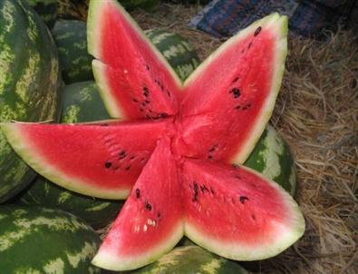 Bayburt’ta Karpuz ve Kavun Hasadı Yüz Güldürüyor