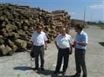 NECMİ ÇELİK - İl Tarım Müdürü Çelik, Organize Sanayideki Kağıt Fabrikasını Gezdi