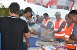PINAR DİLŞEKER - Karamürsel Balık Festivali’nde 6 Bin Kişiye Balık Ekmek Dağıtıldı