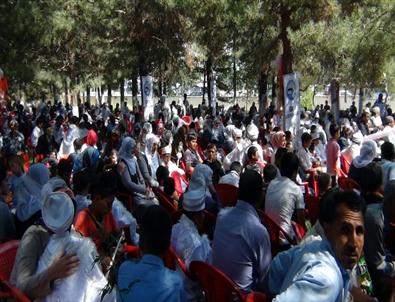 Erciş Belediyesi 400 Çocuğu Sünnet Ettirdi