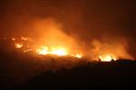 YıLDıZTEPE - Urla’daki  Yangın Kontrol Altına Alındı