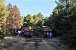 TEMEL COŞKUN - Yalova’da Orman Yangını
