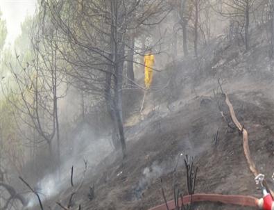 Hatay’da Orman Yangını Sürüyor
