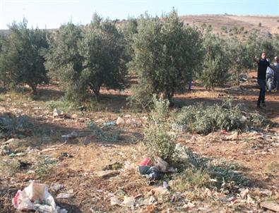 Suriye Sınırında Kuşaklı Köyündeki Kaçakçılara Jandarma Müdahale Etti: 8 Yaralı