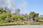 BELEDİYE MEZARLIĞI - Alanya'da Orman Yangını