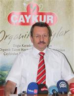 Didi Satış Rekorları Kırıyor