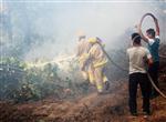 KALKıM - Çanakkale'deki Orman Yangını Yeniden Başladı