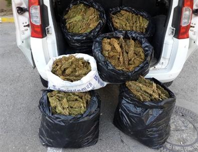 Batman’da 51 Kilo Esrar Ele Geçirildi