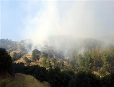Kuyucak ve Bozdoğan'daki Orman Yangını Söndürüldü