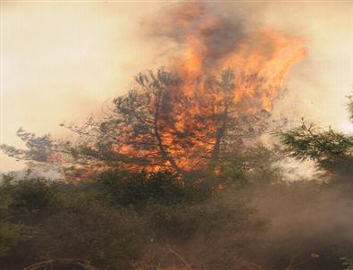 Akdeniz Üniversitesi'nde Korkutan Yangın