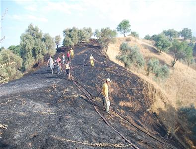 Aydın Dağları Yine Alevlere Teslim Oldu