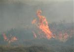 Bodrum'da Orman Yangını
