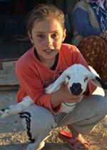 Arkadaşları Tatil, O Çobanlık Yaptı