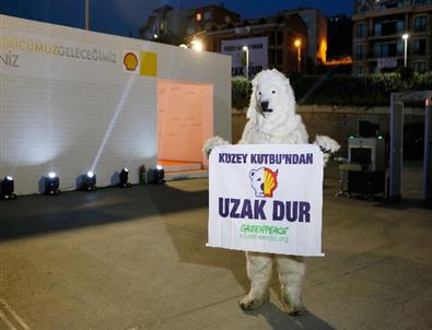 Greenpeace Üyeleri Bu Kez “Kutup Ayısı” Kostümü Giydi